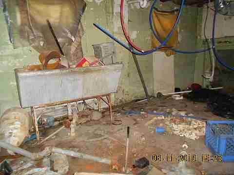 20151 Helen (20)_m.jpg